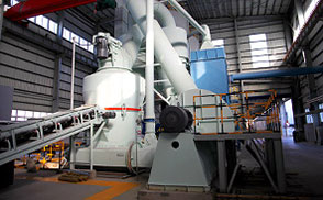 石家莊熱電廠石灰石脫硫